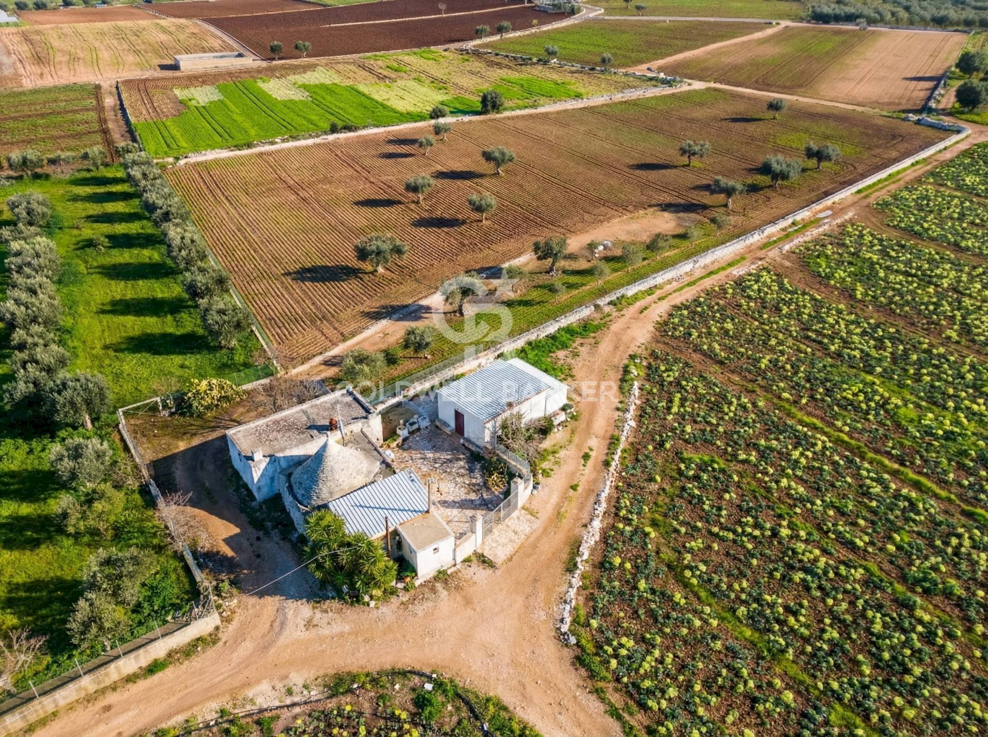 Foto 2 - Terreno agricolo Contrada Monte Polisetta
 
Sn, Polignano a Mare - foto 2