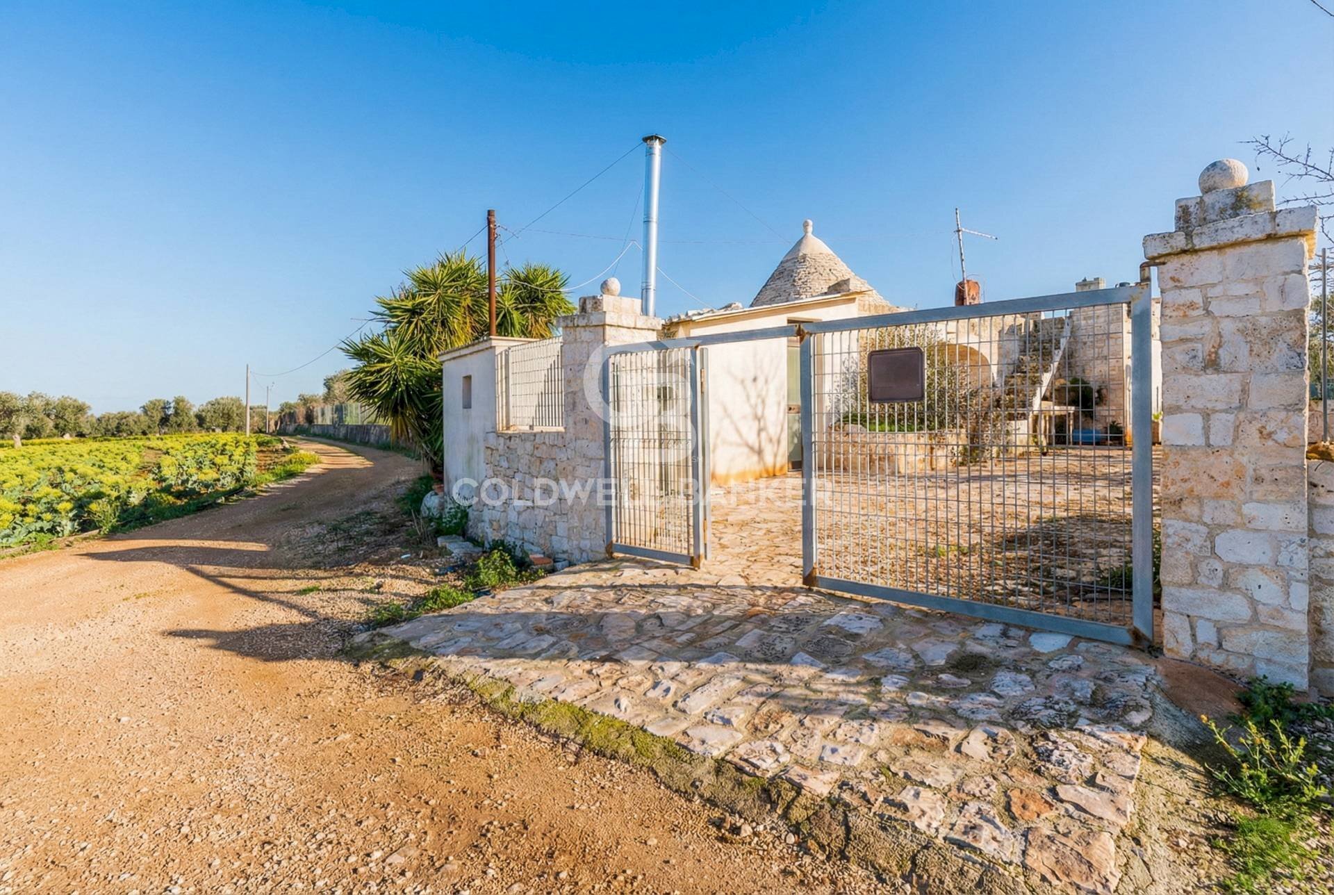 Foto 3 - Terreno agricolo Contrada Monte Polisetta
 
Sn, Polignano a Mare - foto 3