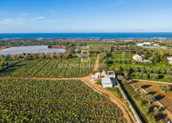 Foto 1 - Terreno agricolo Contrada Monte Polisetta
Sn, Polignano a Mare - foto 1
