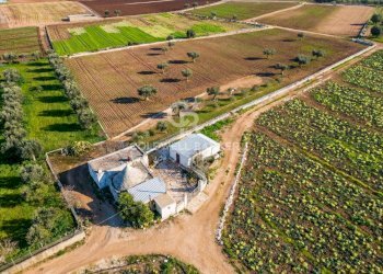 Foto 2 - Terreno agricolo Contrada Monte Polisetta
Sn, Polignano a Mare - foto 2