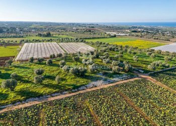 Foto 12 - Terreno agricolo Contrada Monte Polisetta
Sn, Polignano a Mare - foto 12