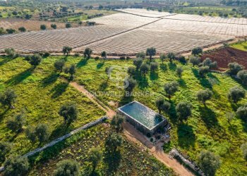 Foto 15 - Terreno agricolo Contrada Monte Polisetta
Sn, Polignano a Mare - foto 15
