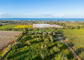 Foto 17 - Terreno agricolo Contrada Monte Polisetta
Sn, Polignano a Mare - foto 17