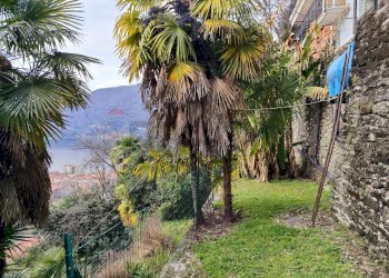 Giardino - Casa indipendente Via Francesco Baroggi
 
19, Maccagno con Pino e Veddasca - foto 12