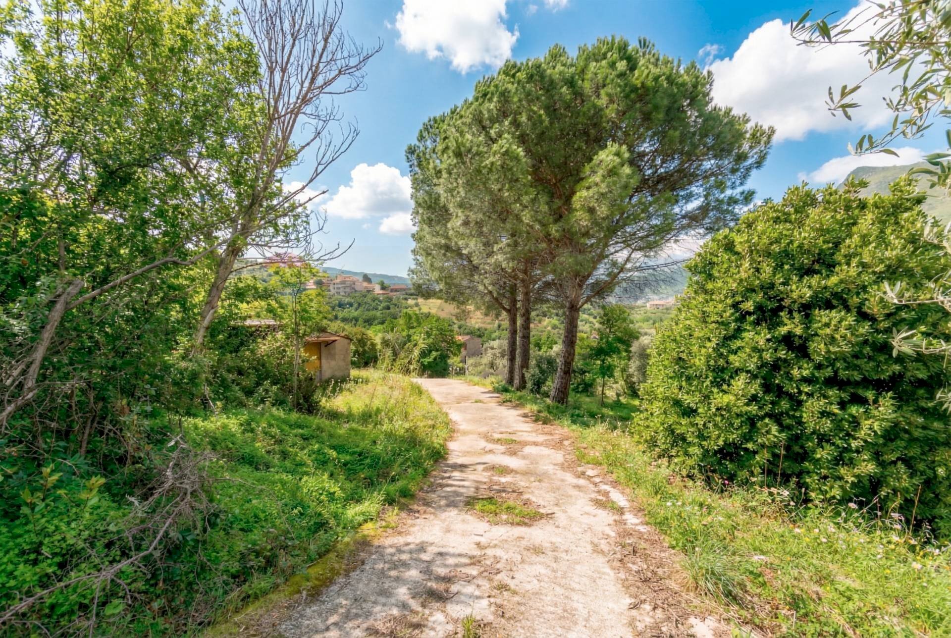 Giardino - Villa Via Esterna Cozzo Ingrassia
 
26, Monreale - foto 2