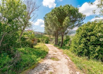 Giardino - Villa Via Esterna Cozzo Ingrassia
 
26, Monreale - foto 2