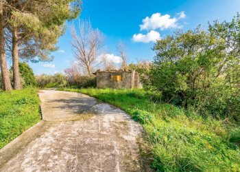 Giardino - Villa Via Esterna Cozzo Ingrassia
 
26, Monreale - foto 7