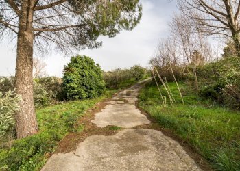 Giardino - Villa Via Esterna Cozzo Ingrassia
 
26, Monreale - foto 11