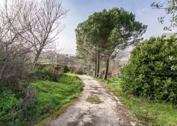 Giardino - Villa Via Esterna Cozzo Ingrassia
 
26, Monreale - foto 13