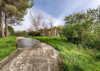 Giardino - Villa Via Esterna Cozzo Ingrassia
 
26, Monreale - foto 14