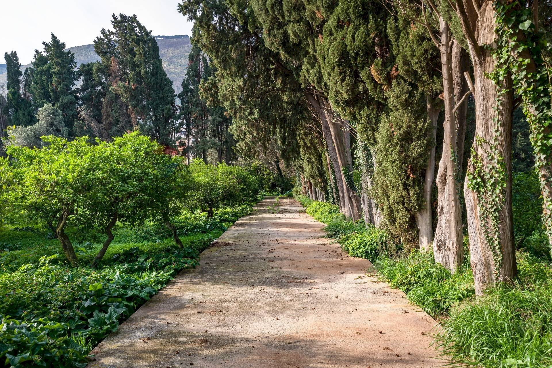 Giardino - Rustico Via Crocetta
 
39, Palermo - foto 2