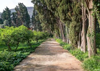 Giardino - Rustic Via Crocetta
 
39, Palermo - photo 2