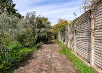 Giardino - Rustic Via Crocetta
 
39, Palermo - photo 16