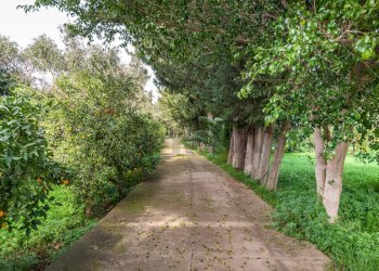 Giardino - Rustic Via Crocetta
 
39, Palermo - photo 25