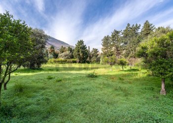 Giardino - Rustic Via Crocetta
 
39, Palermo - photo 28
