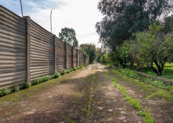 Giardino - Rustic Via Crocetta
 
39, Palermo - photo 33