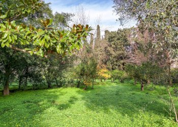 Giardino - Rustic Via Crocetta
 
39, Palermo - photo 35