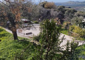 Giardino - Agriturismo SP137i
 
snc, Paterno - foto 27