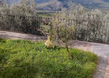 Vista delle montagne - Agriturismo SP137i
 
snc, Paterno - foto 28