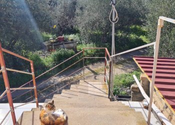 Balcone - Trilocale Contrada Santa Lenea S.S.385
 
snc, Lentini - foto 15