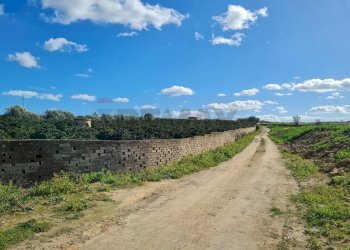 Vista delle montagne - Agricultural land Contrada Santa Lenea (Strada Statale 385)
 
snc, Lentini - photo 4