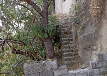 Giardino - Rustic Via San Basilio
 
41/43, Castiglione di Sicilia - photo 5