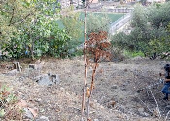 Vista delle montagne - Rustic Via San Basilio
 
41/43, Castiglione di Sicilia - photo 8