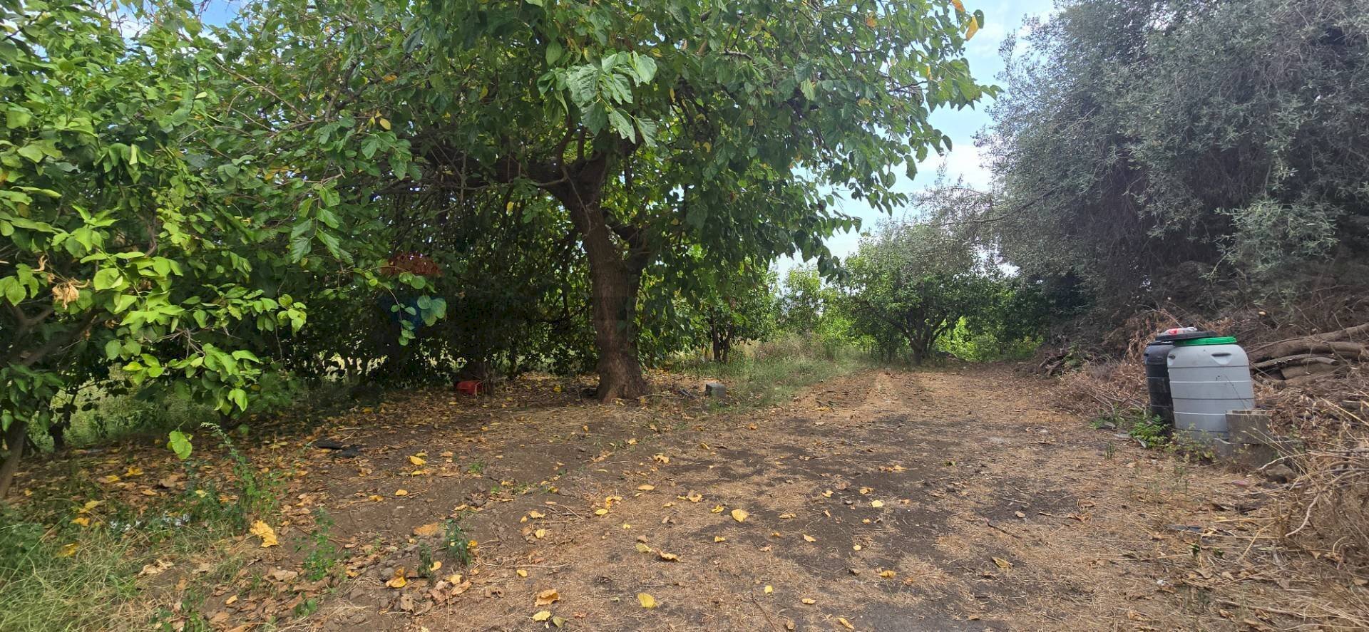 Giardino - Agricultural land Via Carlino
 
50, Mascali - photo 3