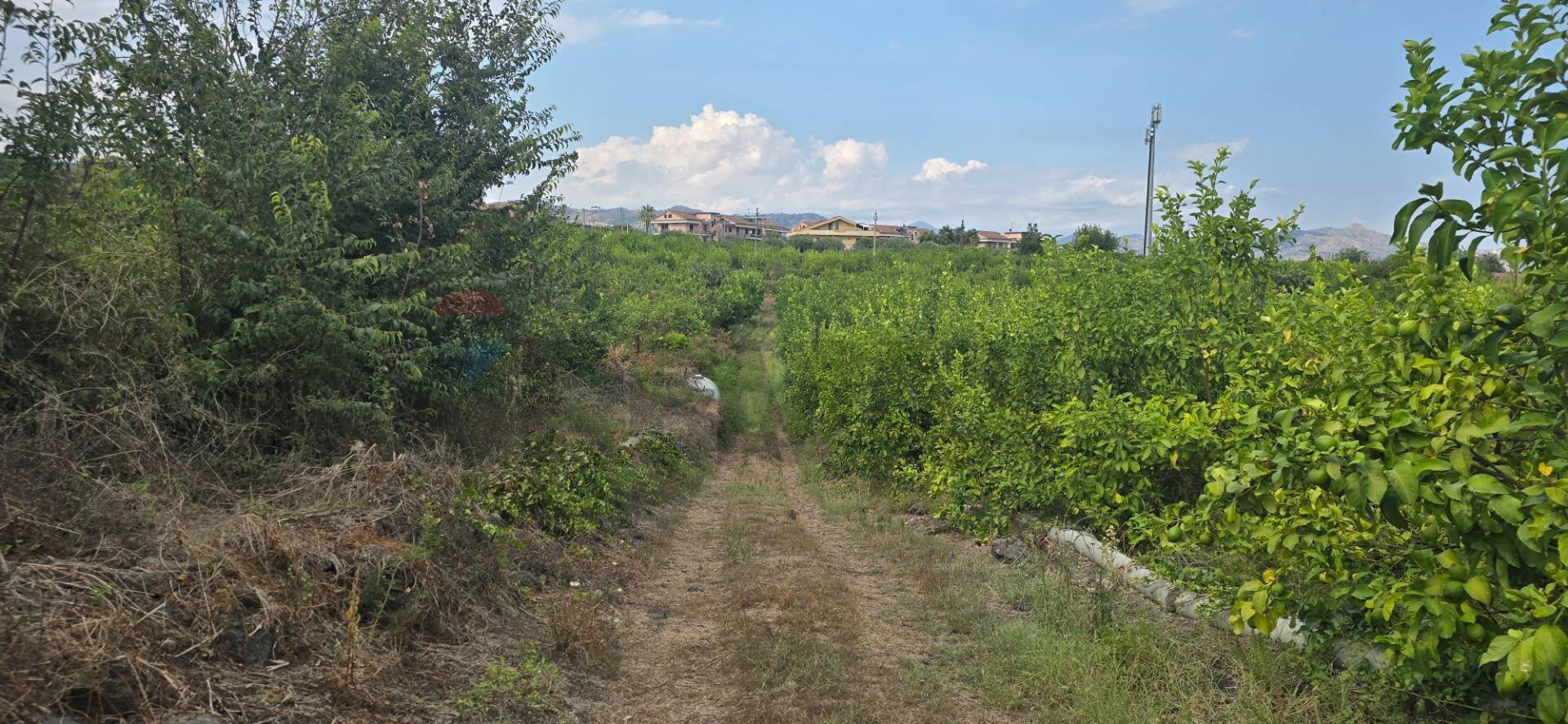 Giardino - Terreno agricolo Via Carlino
 
50, Mascali - foto 1
