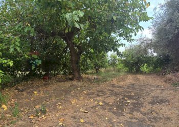 Giardino - Agricultural land Via Carlino
 
50, Mascali - photo 3