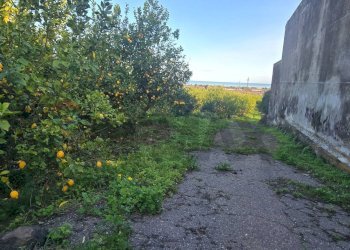 Giardino - Agricultural land Via Carlino
 
50, Mascali - photo 5