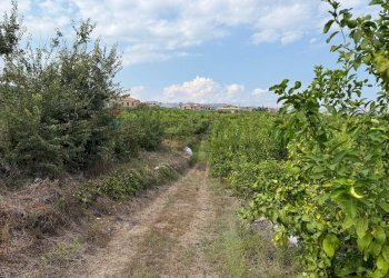 Giardino - Agricultural land Via Carlino
 
50, Mascali - photo 3