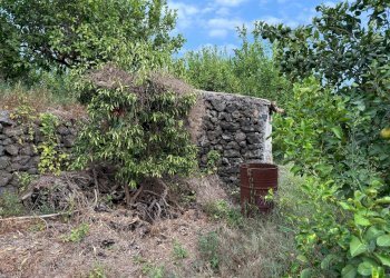 Giardino - Agricultural land Via Carlino
 
50, Mascali - photo 15