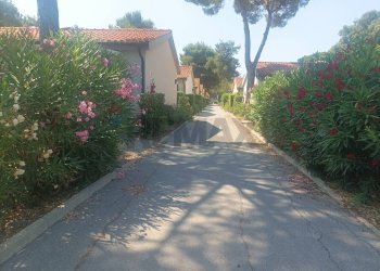 Casa all\'aperto - Baita Piombino - foto 16