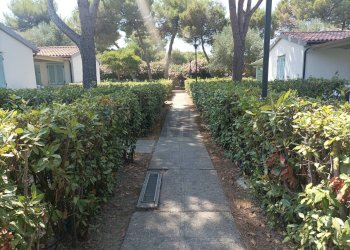 Giardino - Baita Piombino - foto 17