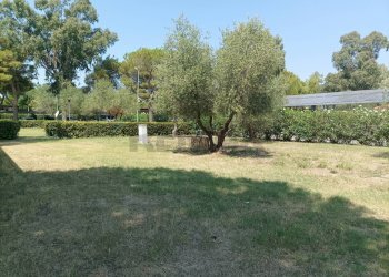 Giardino - Baita Piombino - foto 18