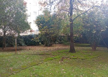 Giardino - Appartamento VIA GEMITO
 
19, Caserta - foto 32