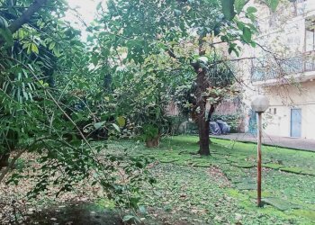 Giardino - Appartamento VIA GEMITO
 
19, Caserta - foto 34