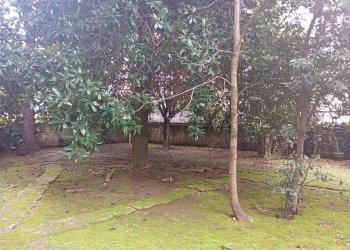 Giardino - Appartamento VIA GEMITO
 
19, Caserta - foto 35