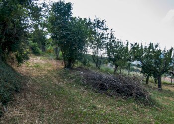 Giardino - Casa semi indipendente Frazione San Giovanni
 
4, Fabriano - foto 11