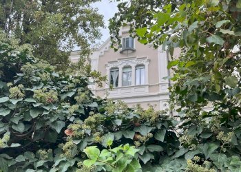 Foto 19 - Appartamento Viale Thovez, Torino - foto 19