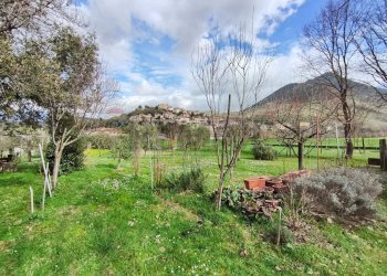 Giardino - Casa indipendente Esperia - foto 25