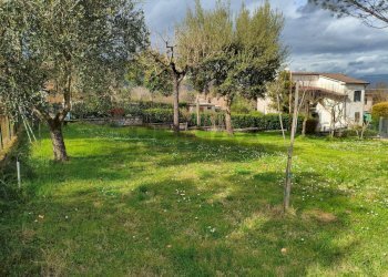 Giardino - Casa indipendente Esperia - foto 27