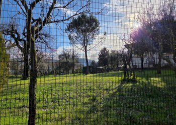 Giardino - Casa indipendente Esperia - foto 32