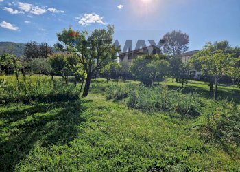 Giardino - Casa indipendente Esperia - foto 41