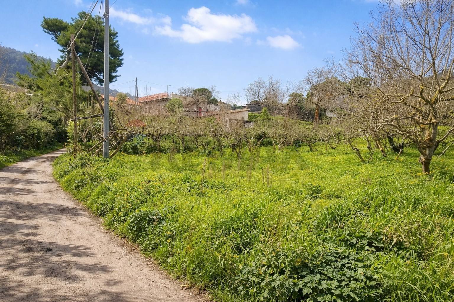 Giardino - Agricultural land Contrada Montagnola, Monreale - photo 1