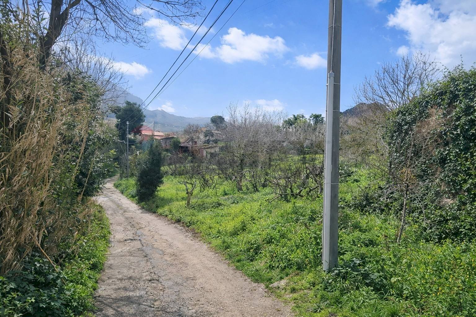 Vista delle montagne - Agricultural land Contrada Montagnola, Monreale - photo 2