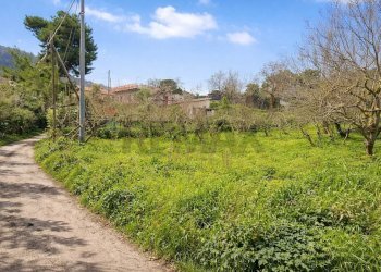 Giardino - Agricultural land Contrada Montagnola, Monreale - photo 1