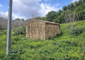 Giardino - Agricultural land Contrada Montagnola, Monreale - photo 5