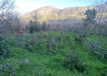 Vista delle montagne - Agricultural land Contrada Montagnola, Monreale - photo 9
